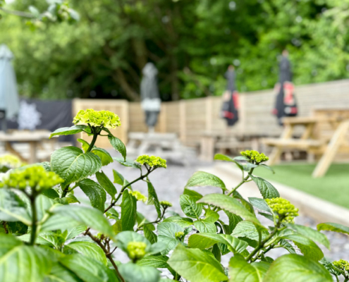 The Ladywell beer garden